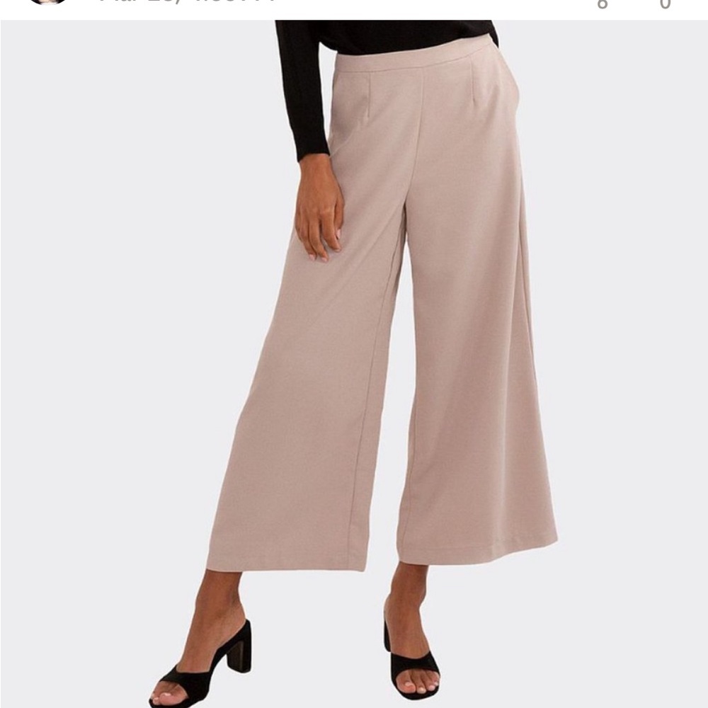 Modern Citizen beige wide leg cropped pants size M